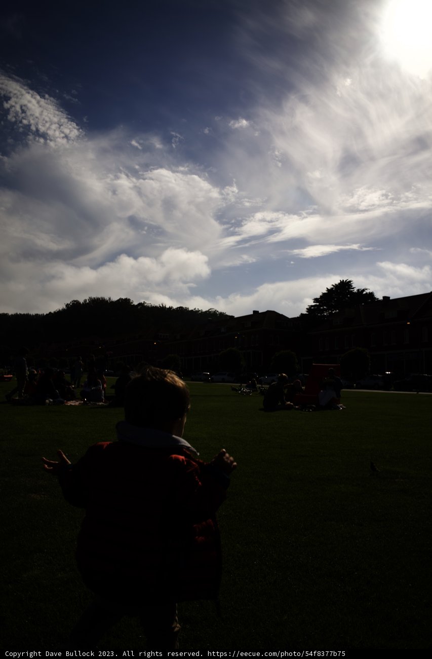 Childhood Unplugged: Flying Kites in Presidio