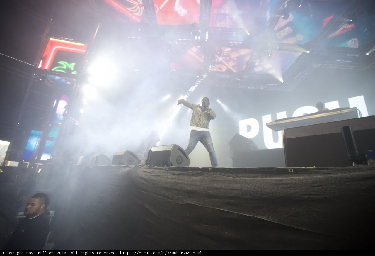 Rocking the Crowd at Coachella