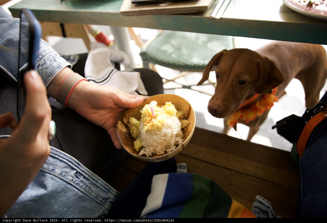 A Savory Moment in San Francisco