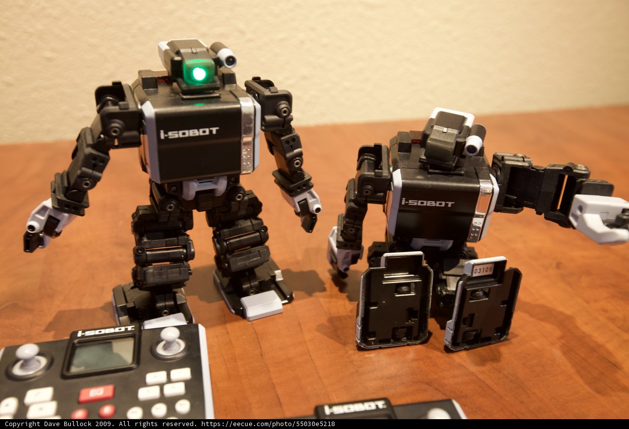 Robotic Companions