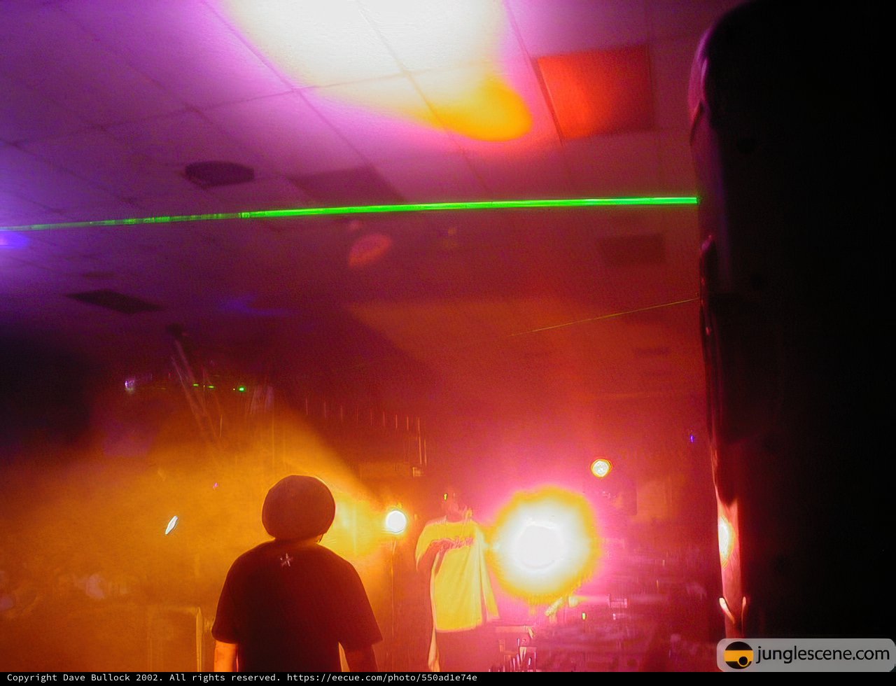 Spotlight on the Crowd