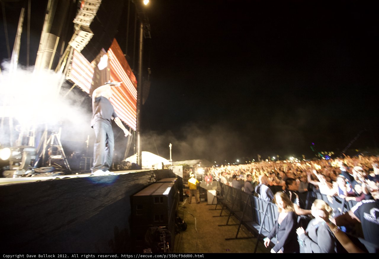 Captivating Concert Crowd