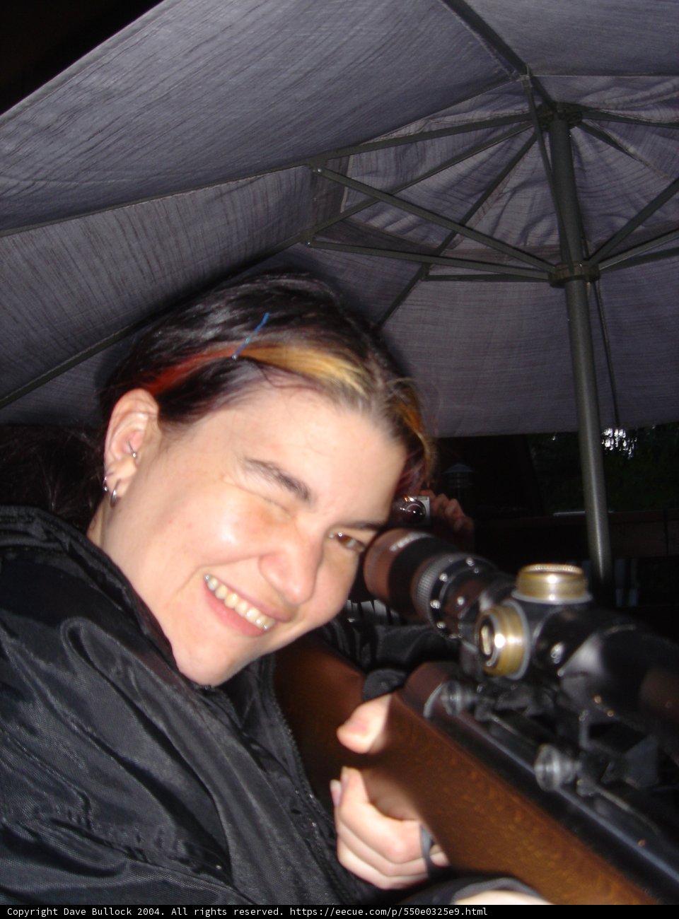 The Armed Lady