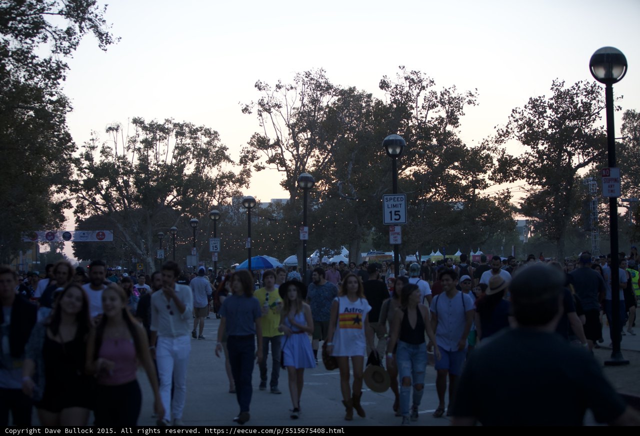 Festival Crowd at Dusk