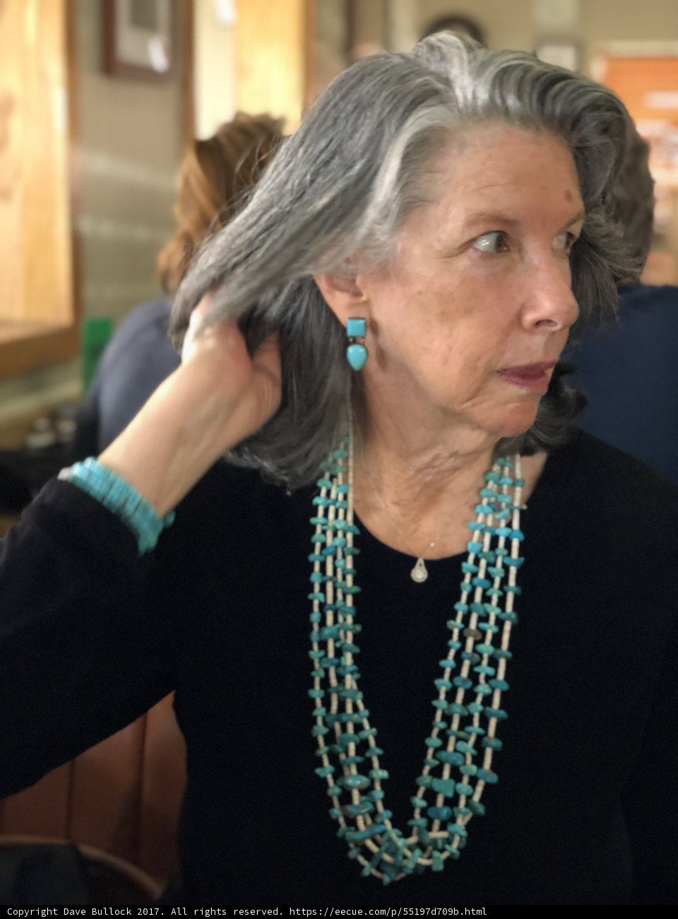 The Turquoise Lady