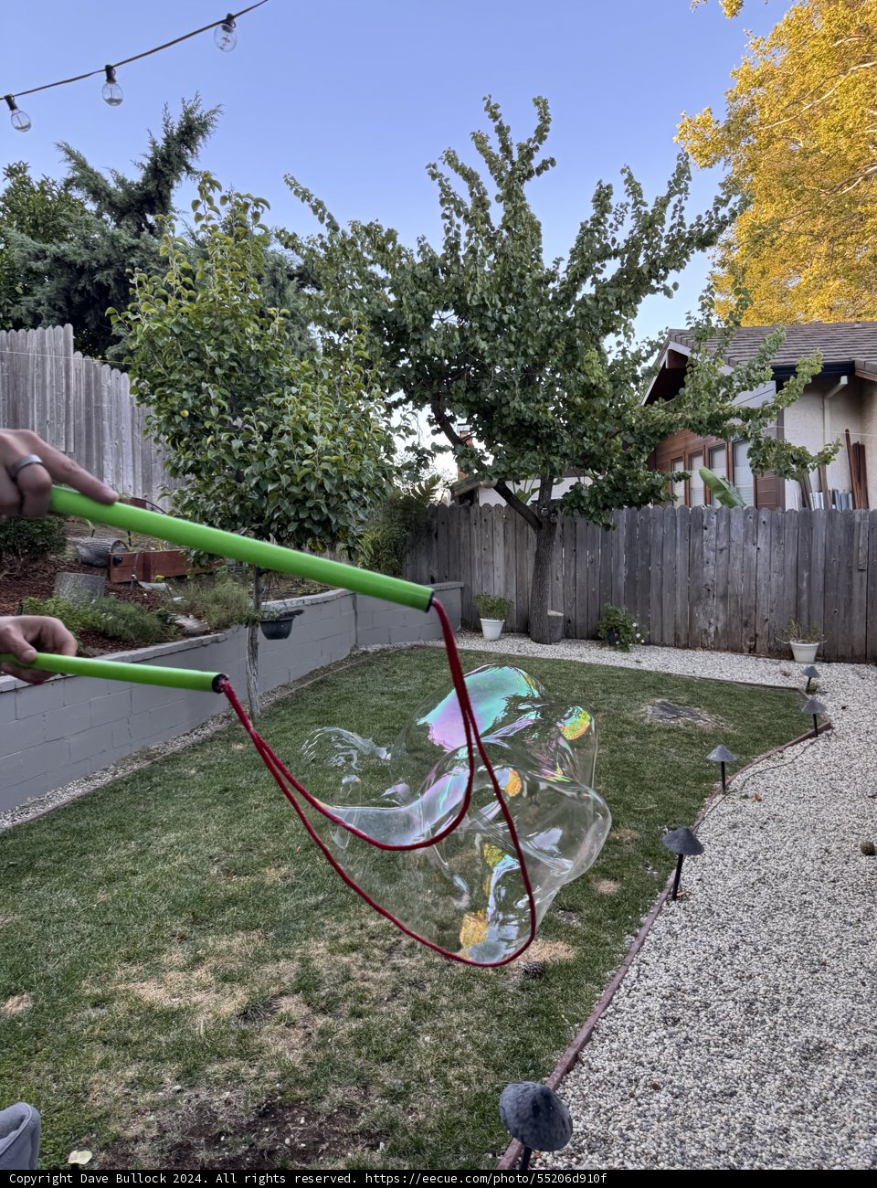Summer Bubble Bliss
