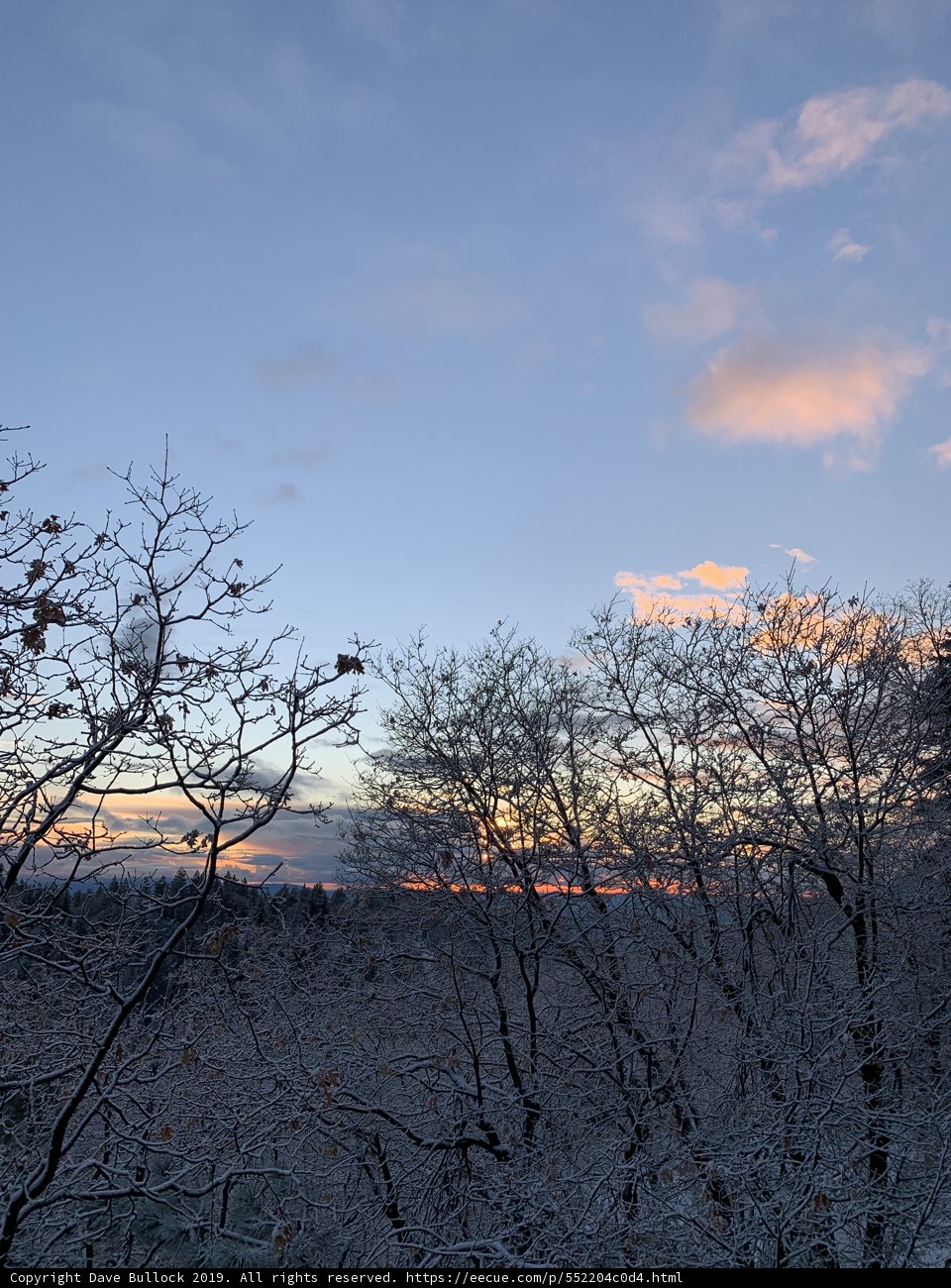 Winter Wonderland