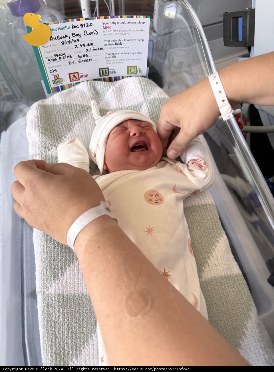 Welcome to the World, Leland