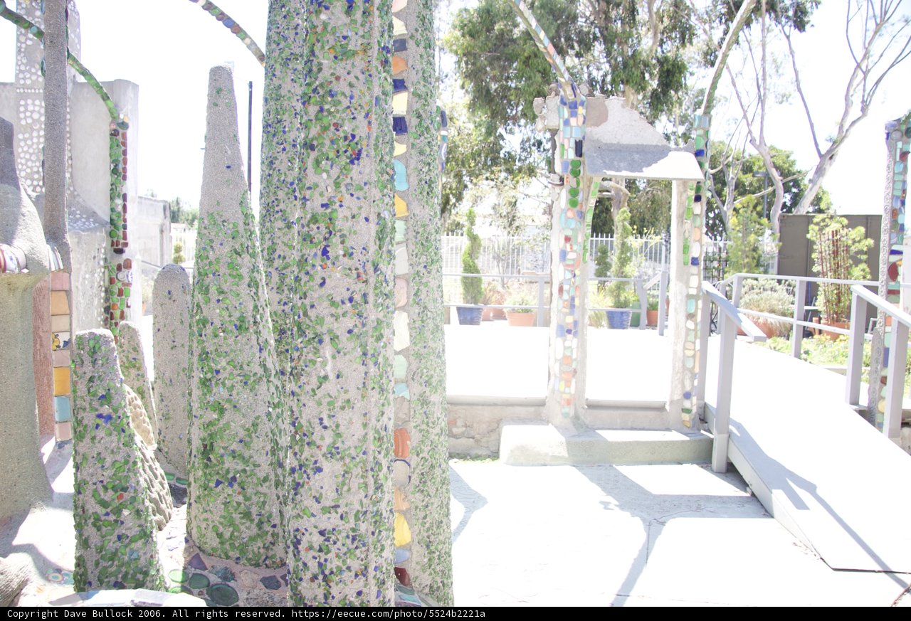 The Colorful Tree