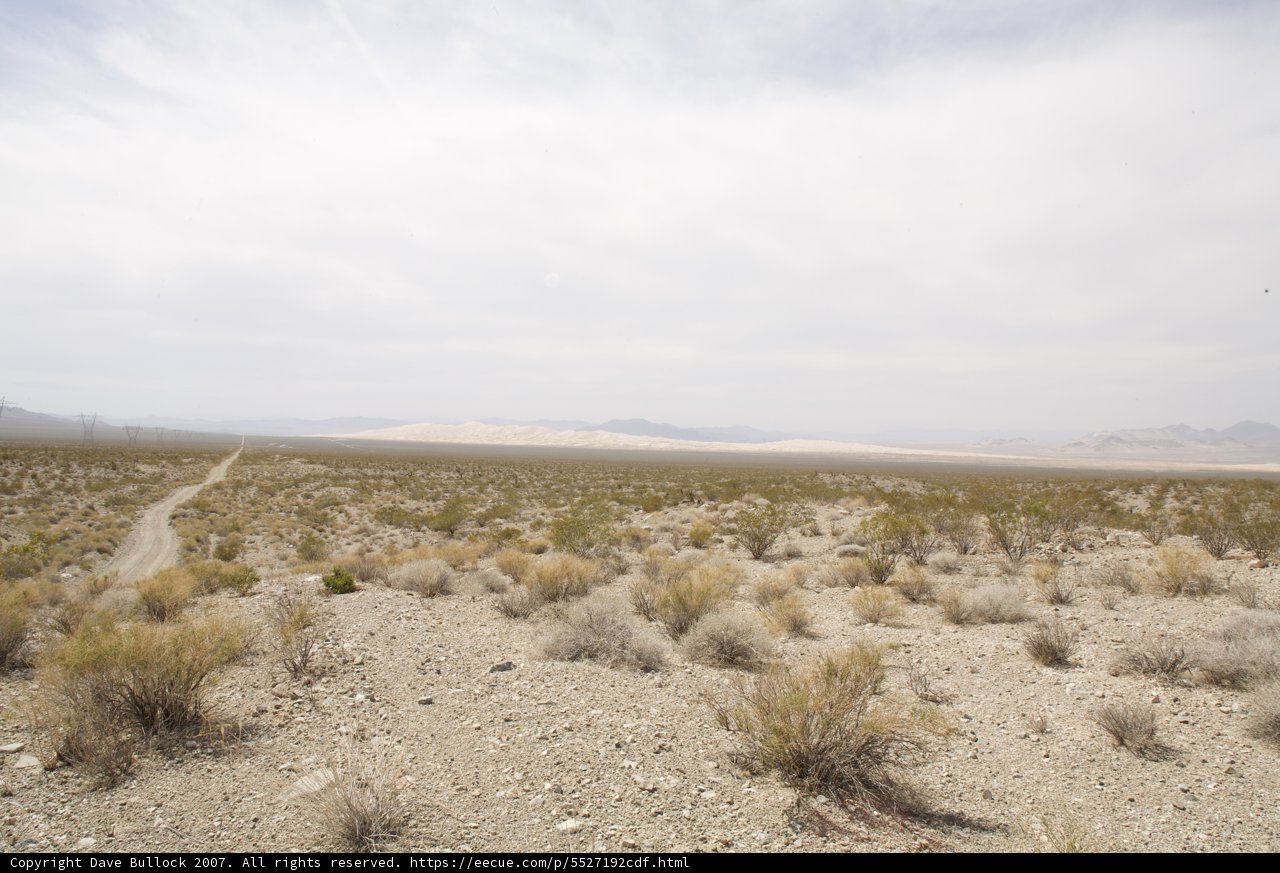Desolate Beauty