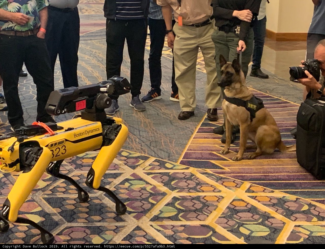 Man and Robot Snap a Shot of a Furry Companion