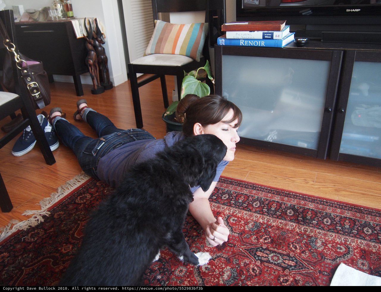 Woman and Black Dog Share a Tender Floor Moment