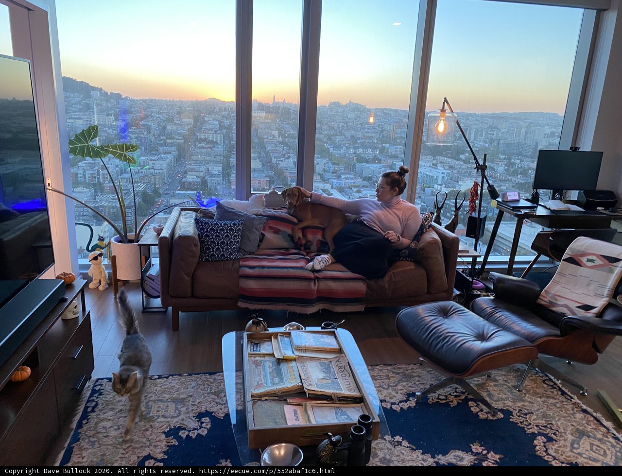 Cozy Living Room Relaxation