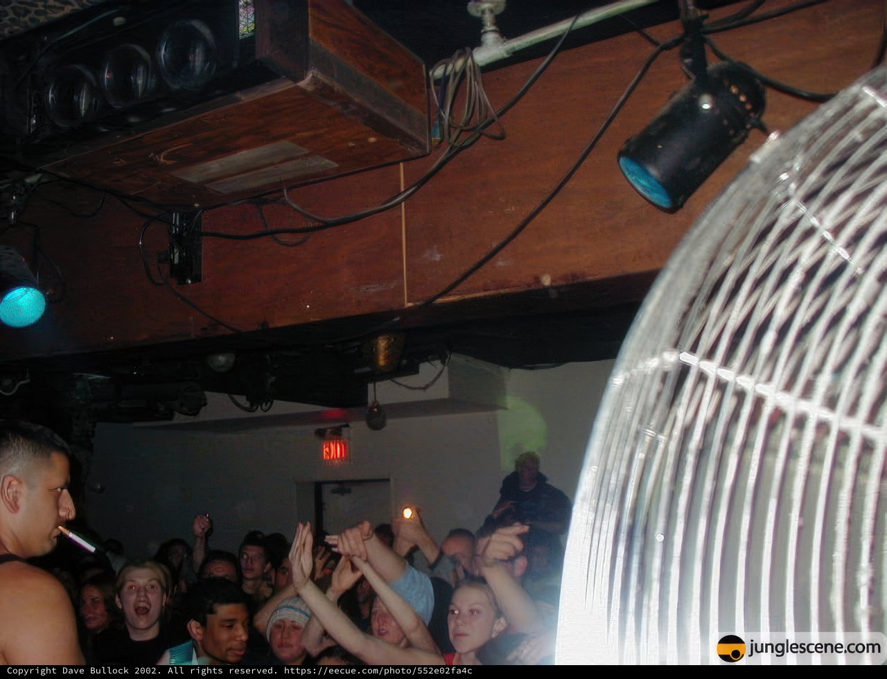 Surrendering to the Beat