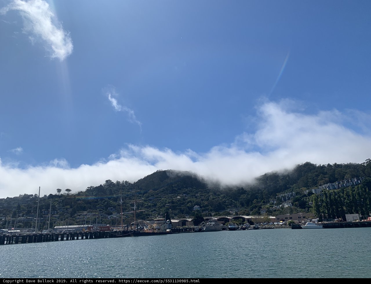 Serene Harbor View