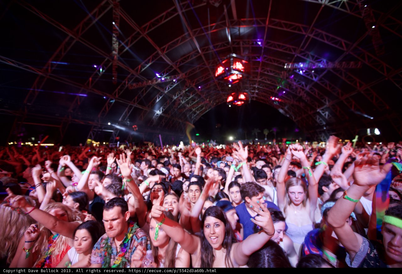 Coachella Nights