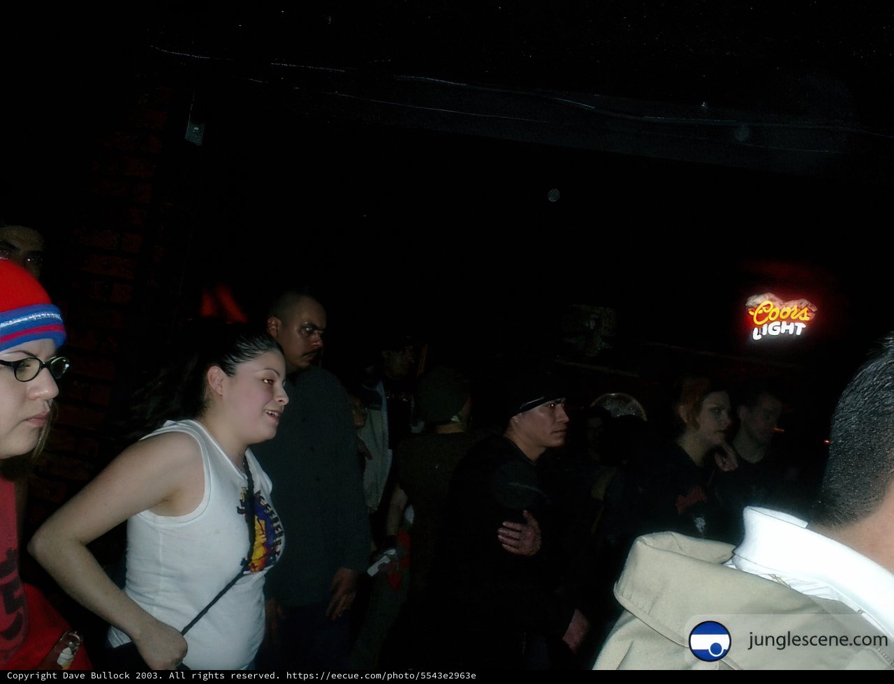 Nightclub Gathering