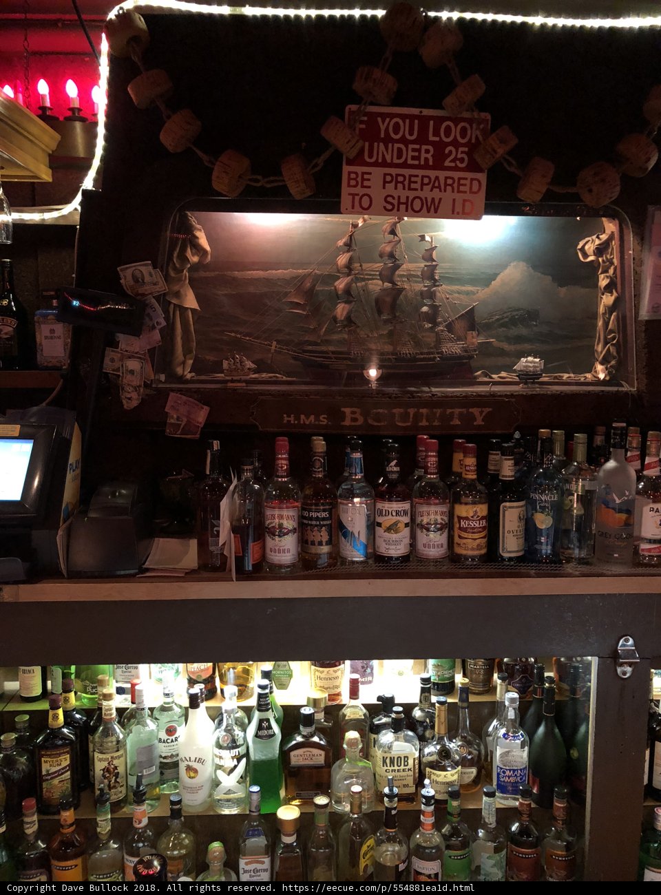 A Night Out at the Bar