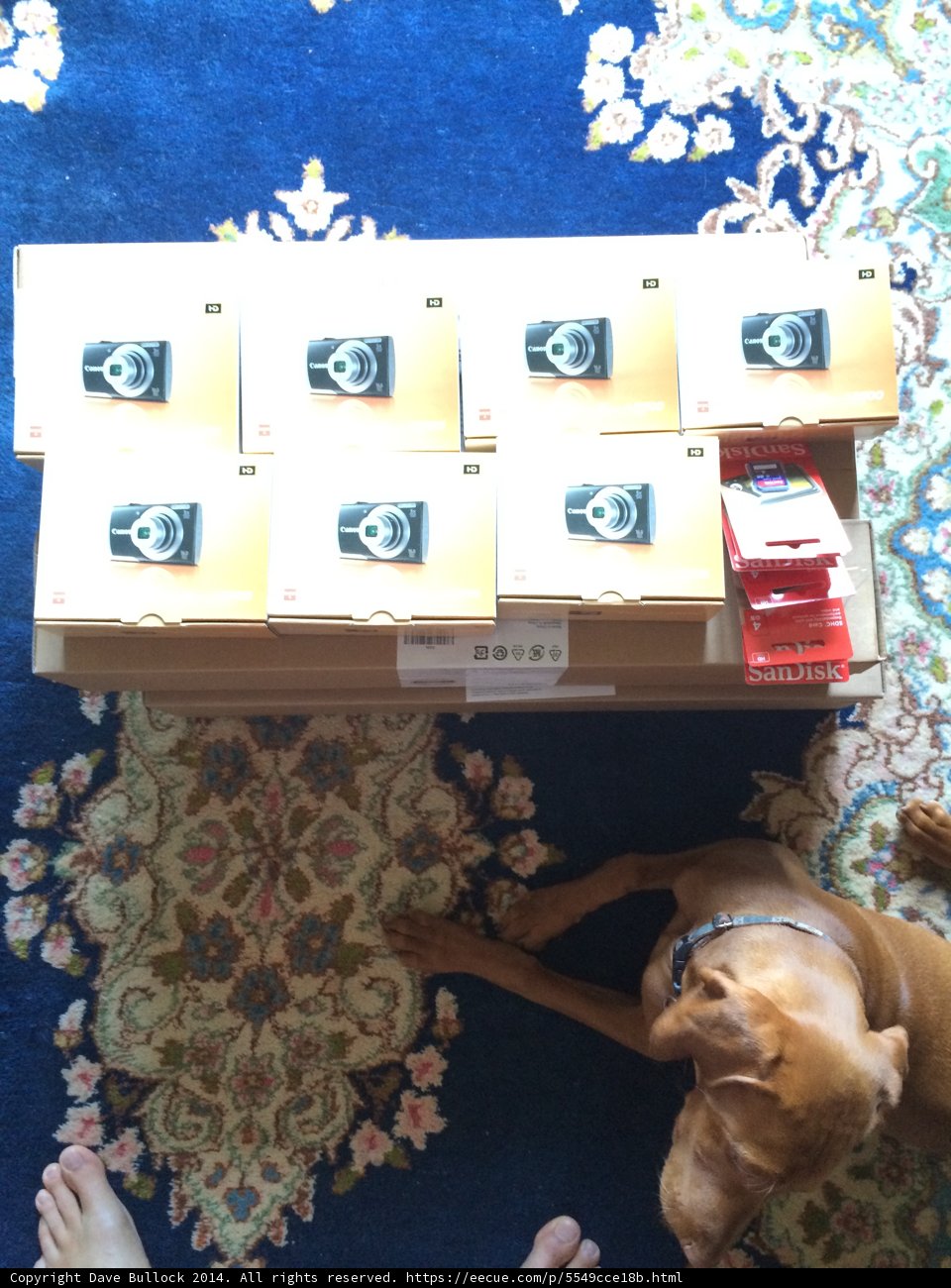 Relaxing with Cigarettes