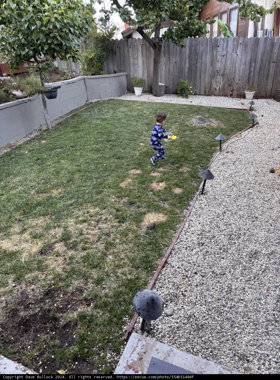 Backyard Adventures