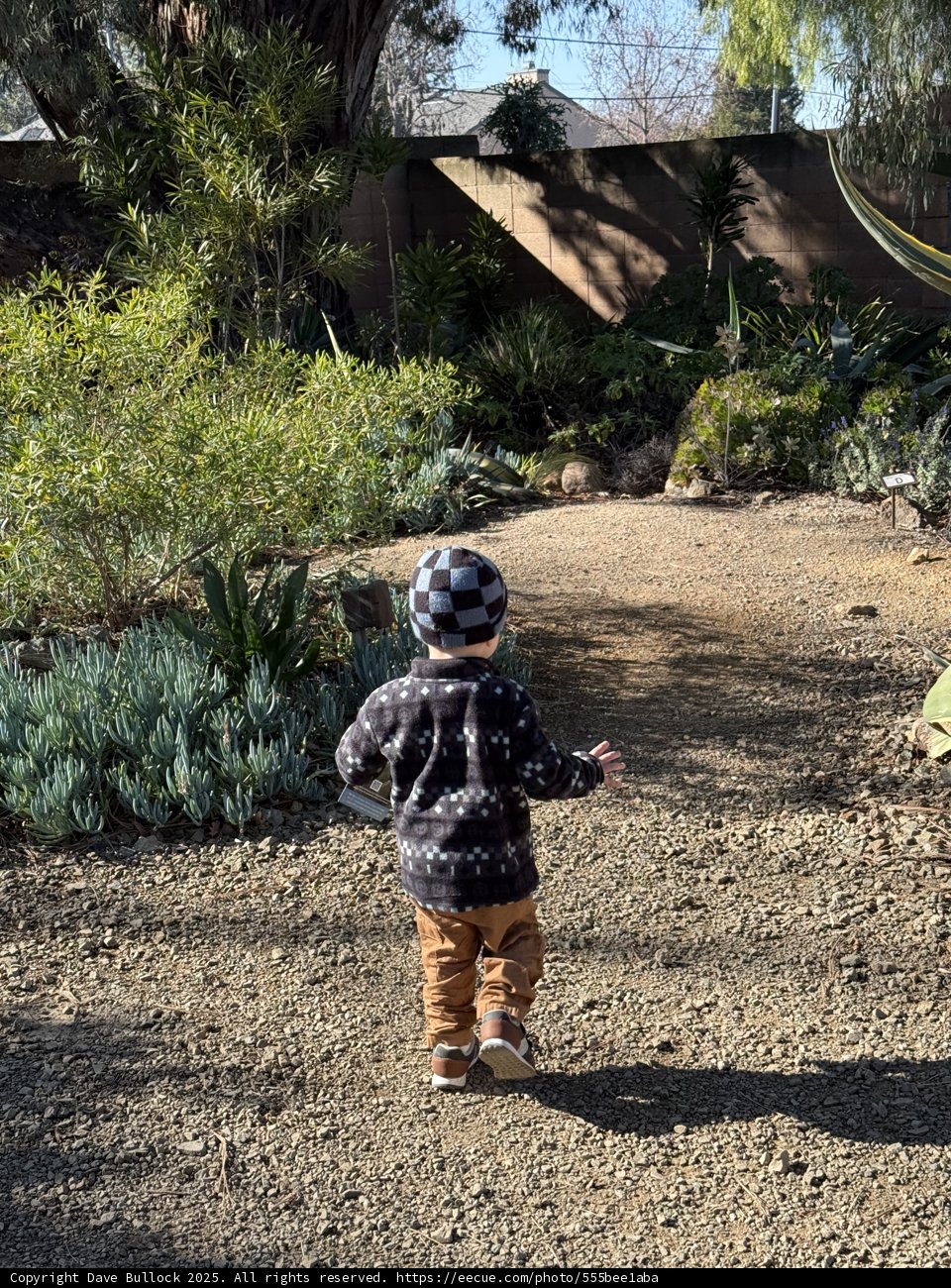 Strolling Through Nature's Wonders