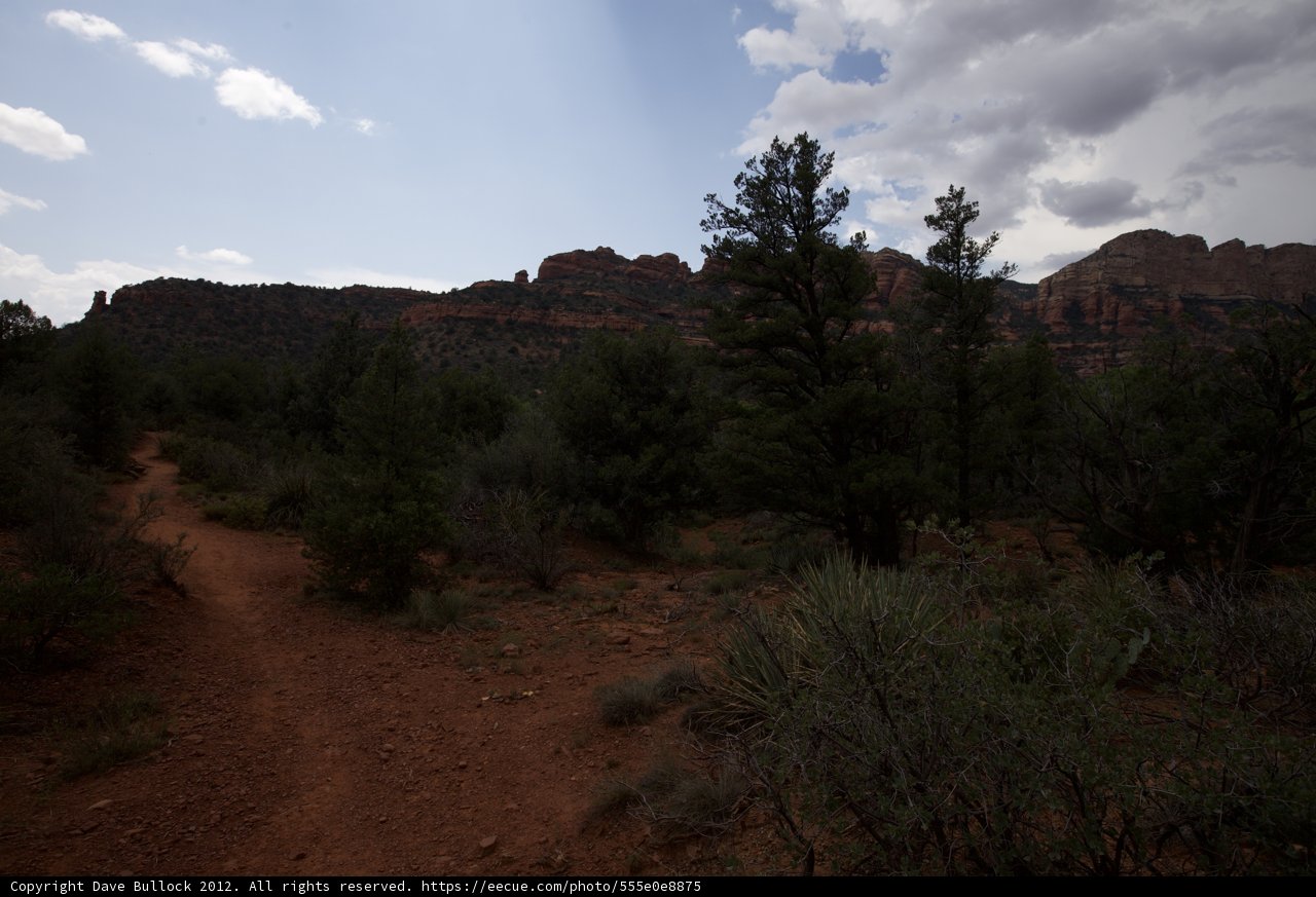 Into the Wilderness