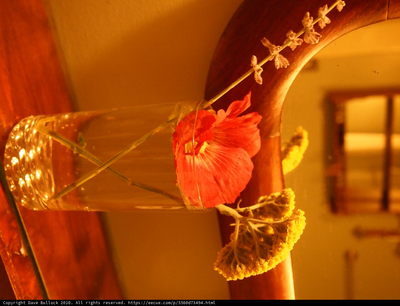 Elegant Ikebana Flower Arrangement in a Glass Vase