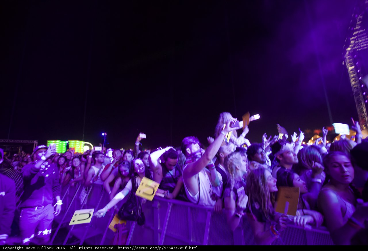 Purple Haze