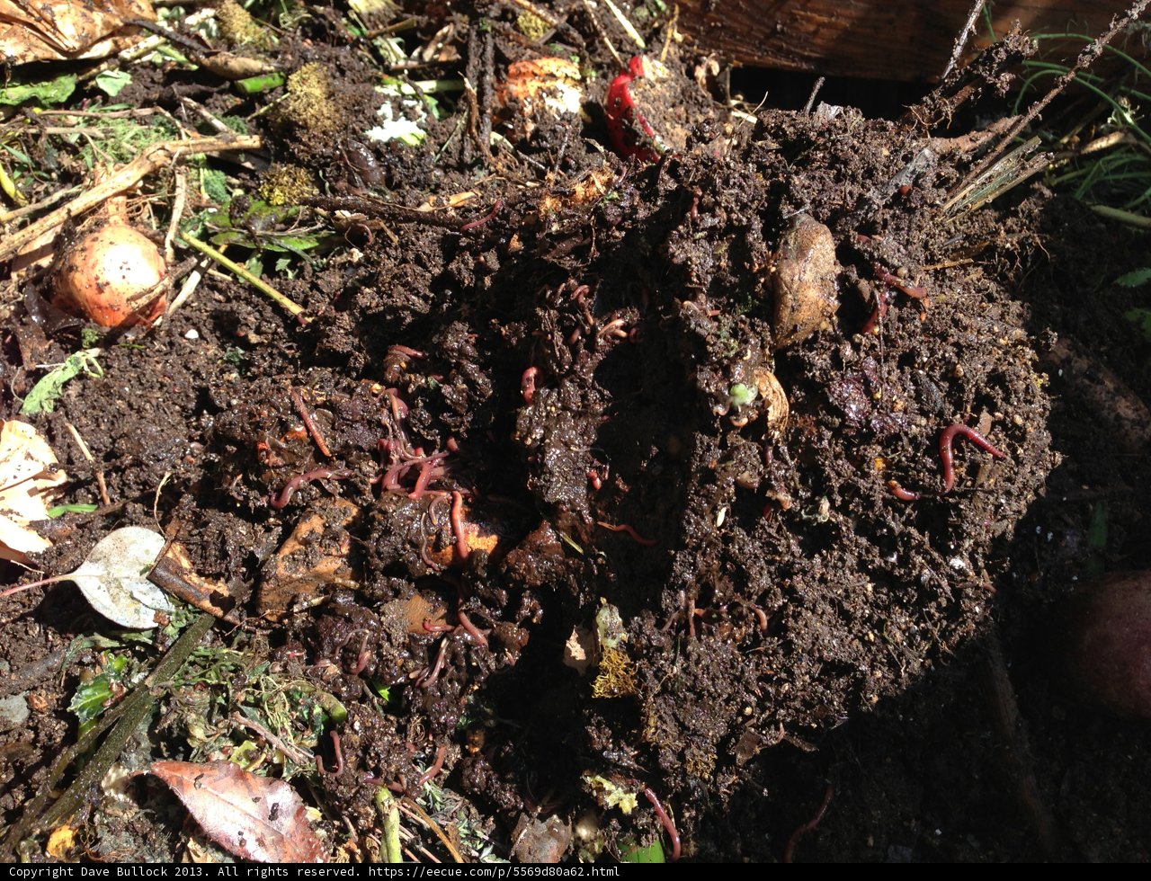 Rich Soil Abounds