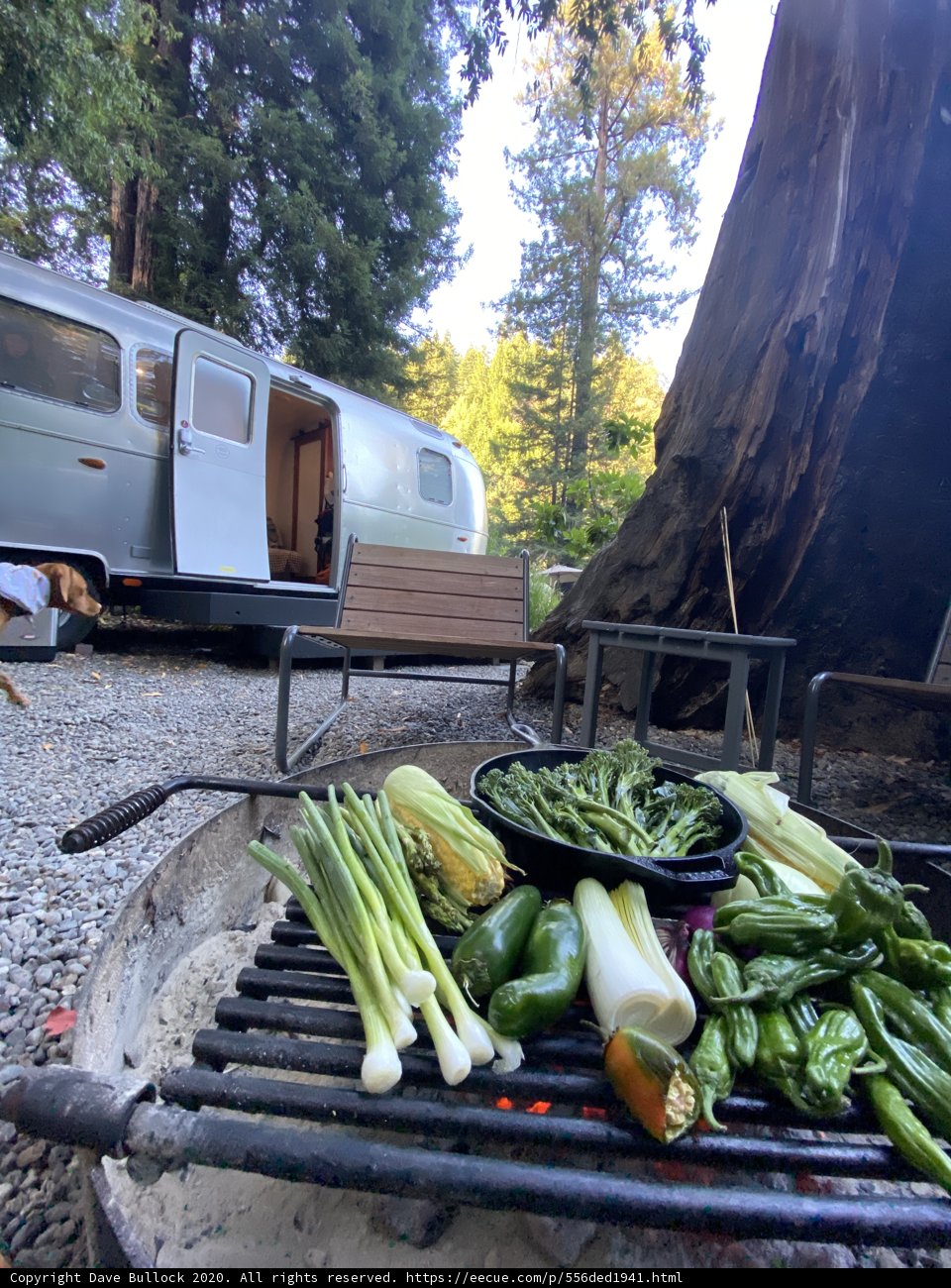 Grilling Goodness with a View