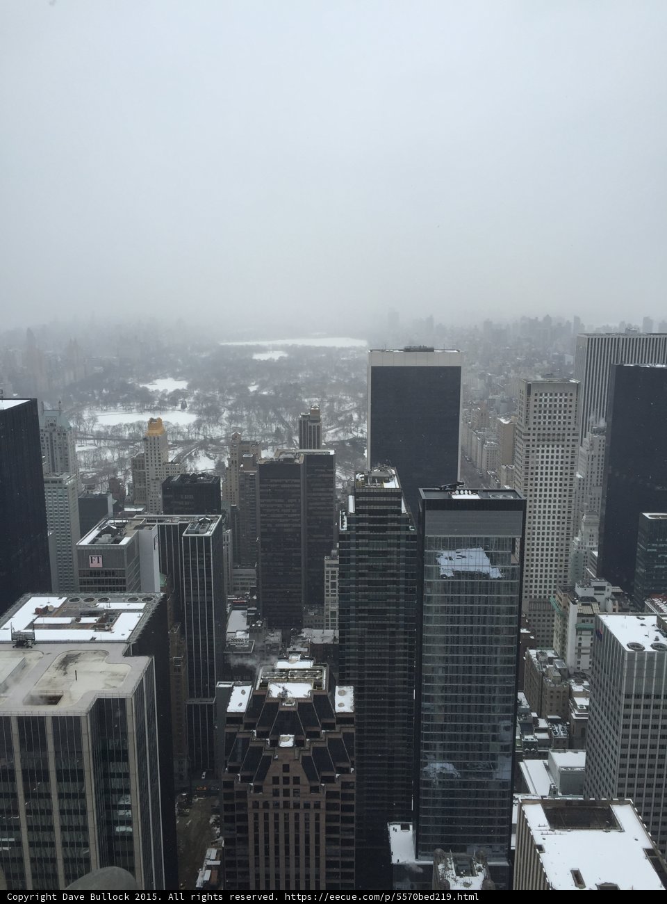 Central Park Snow Wide