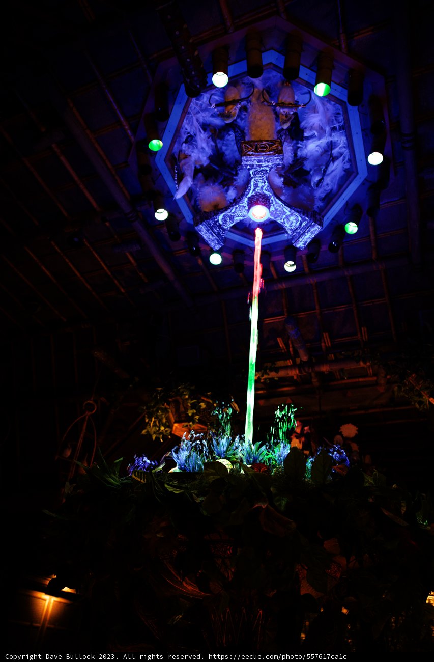 Enchanted Timepiece of Disneyland