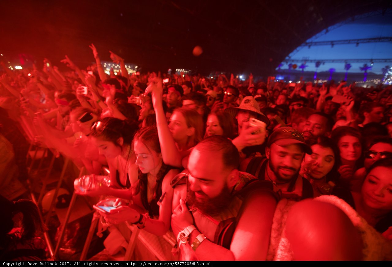 Coachella Crowd Goes Wild