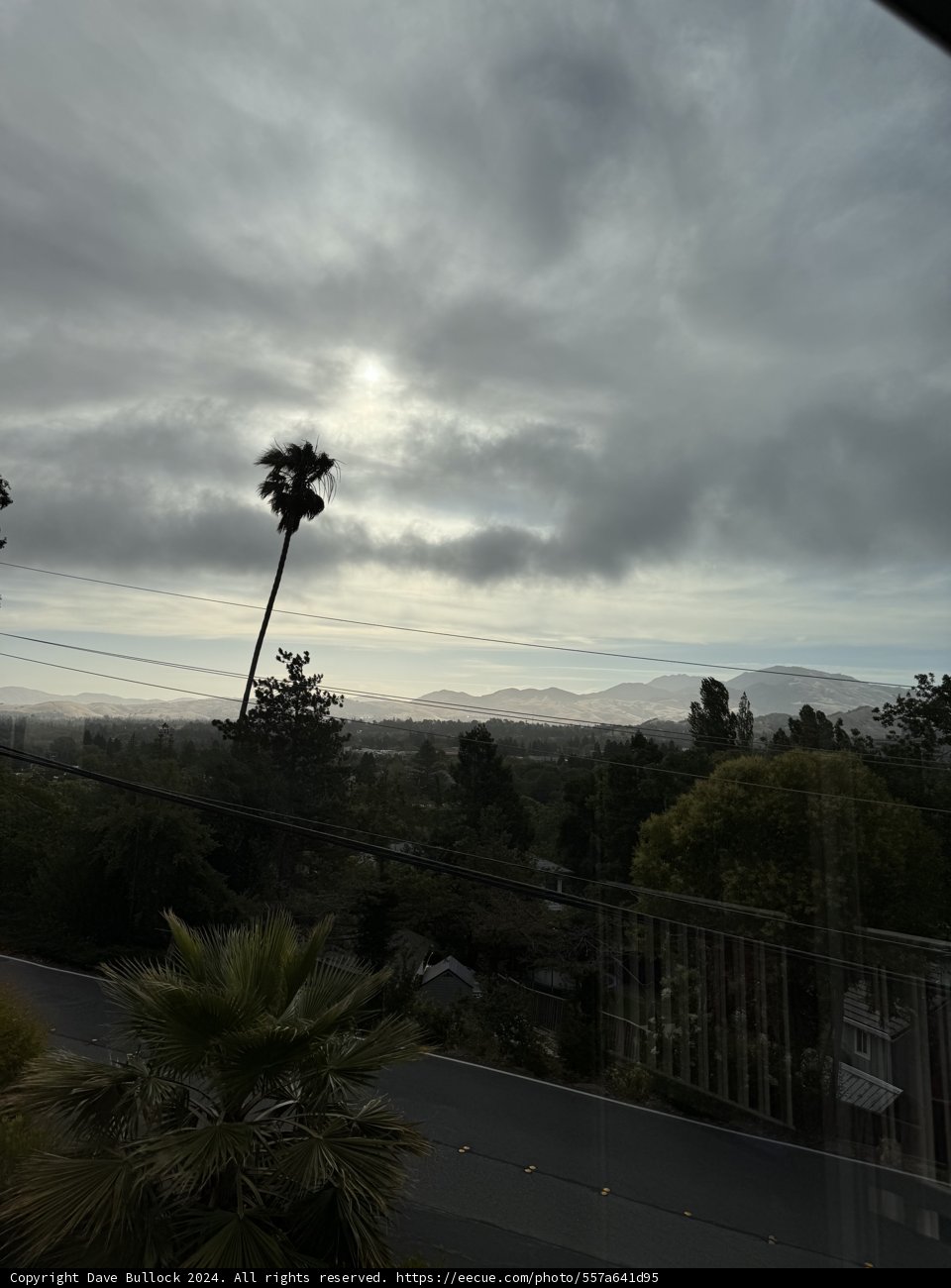 Tranquil Morning in Walnut Creek