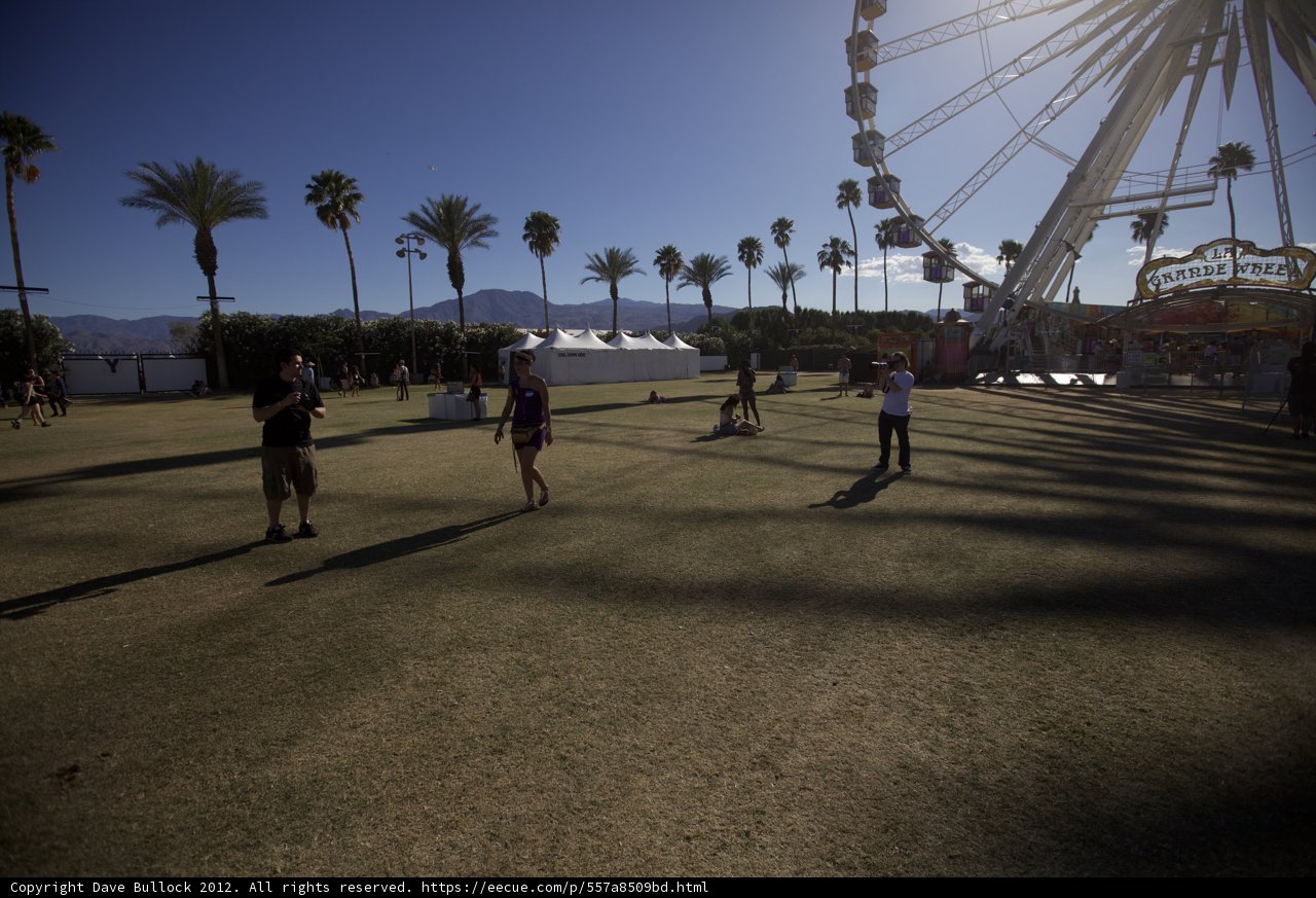 Fun at the Ferris Wheel
