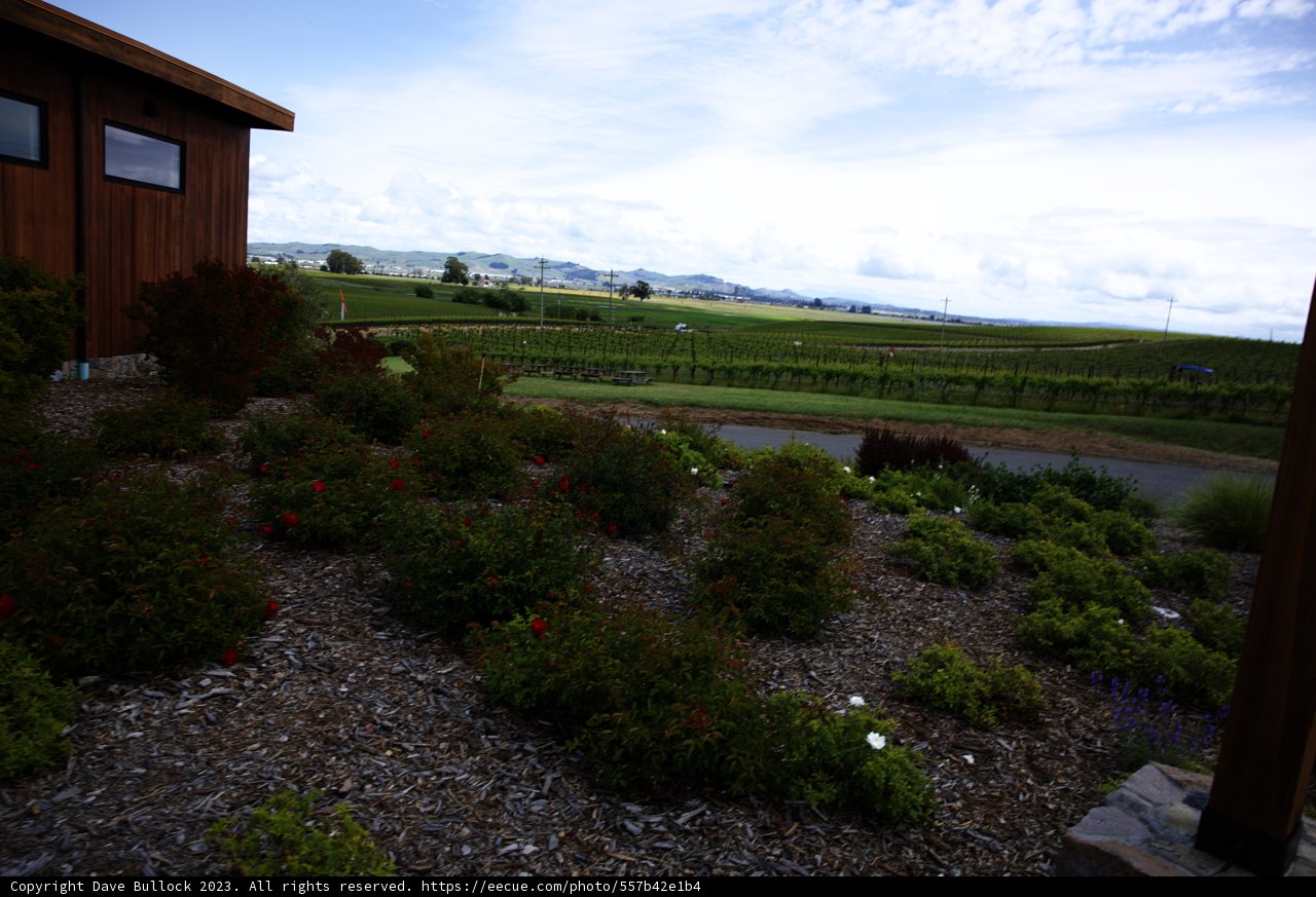 Serene Vineyard View from Napa Home