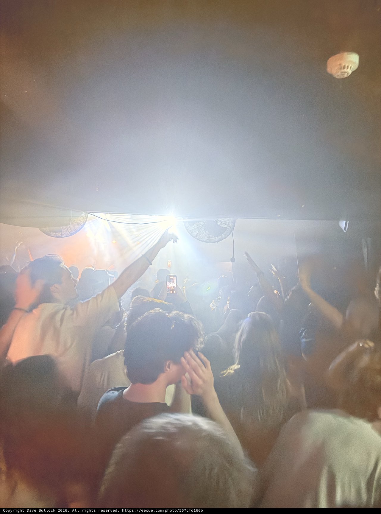 Energetic Crowd at Underground London Music Venue