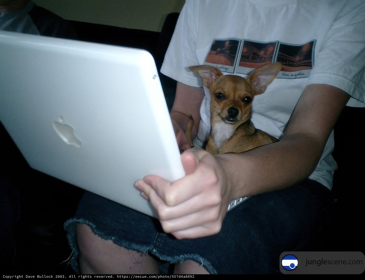 Laptop Love