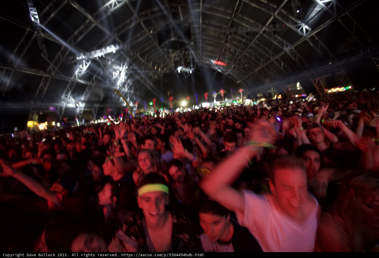 Coachella's Electric Crowd