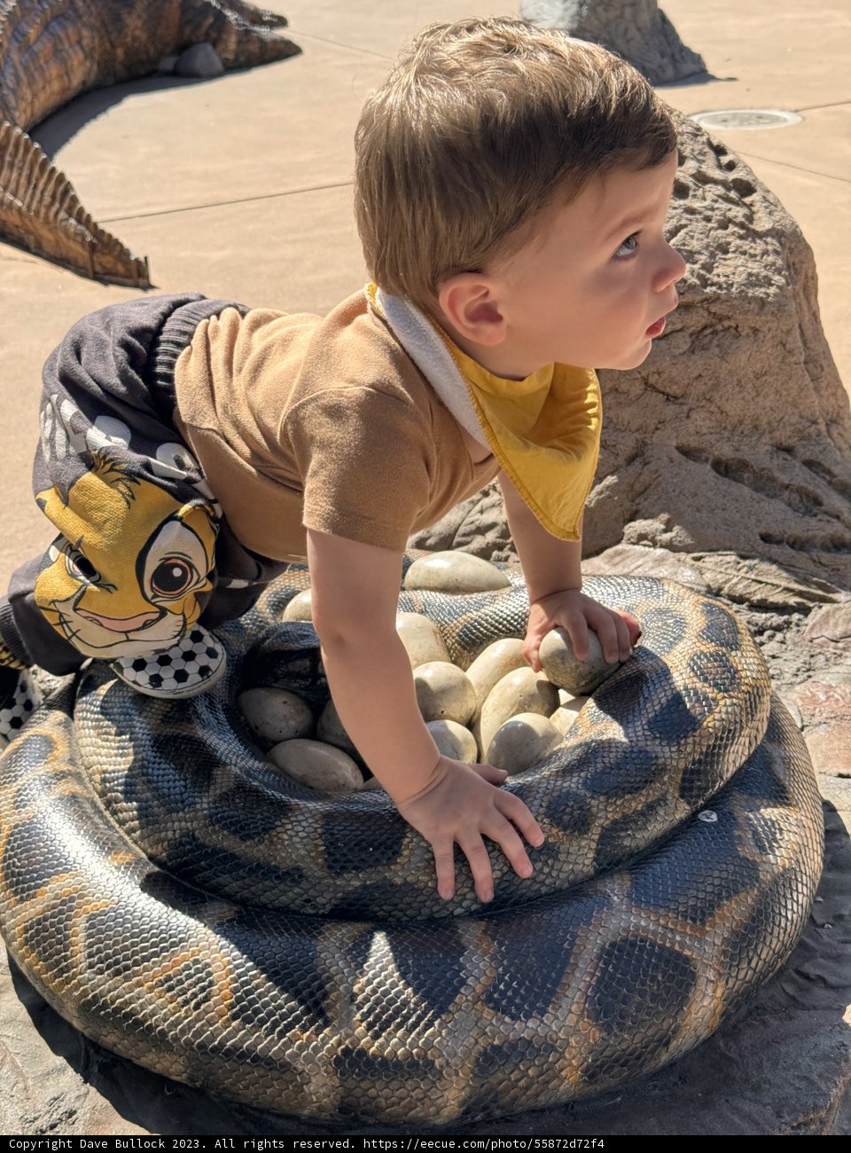Wesley's Intrepid Encounter