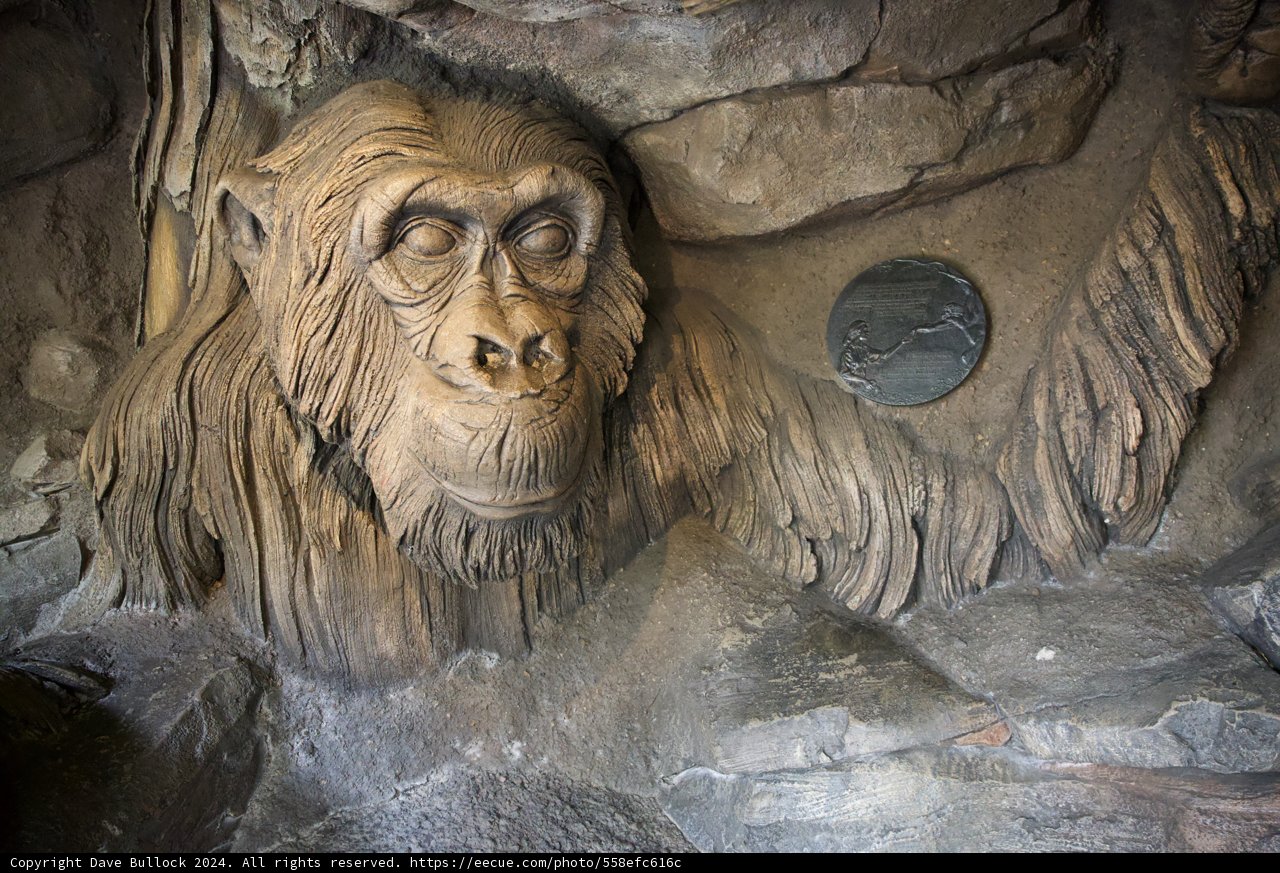 Mystical Monkey Sculpture in Disney's Animal Kingdom