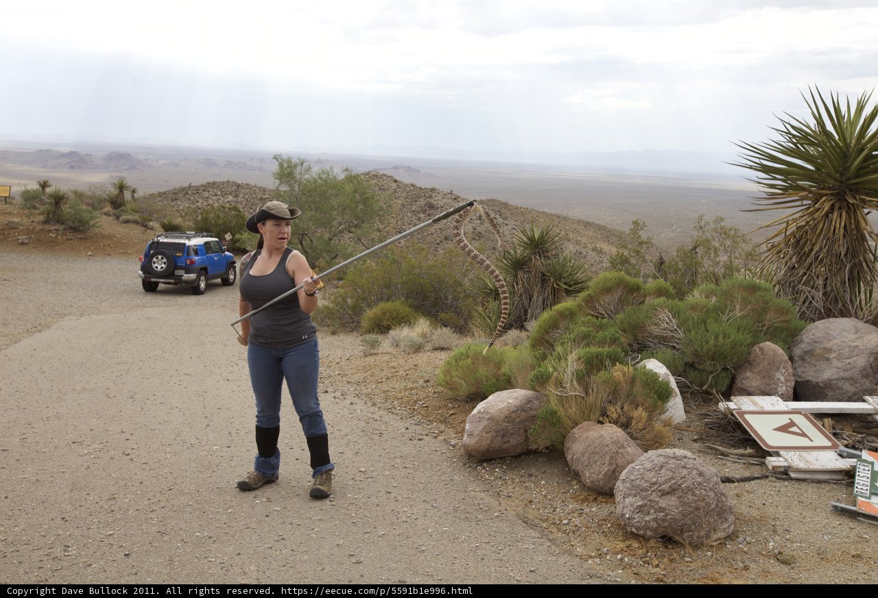 Desert Adventure