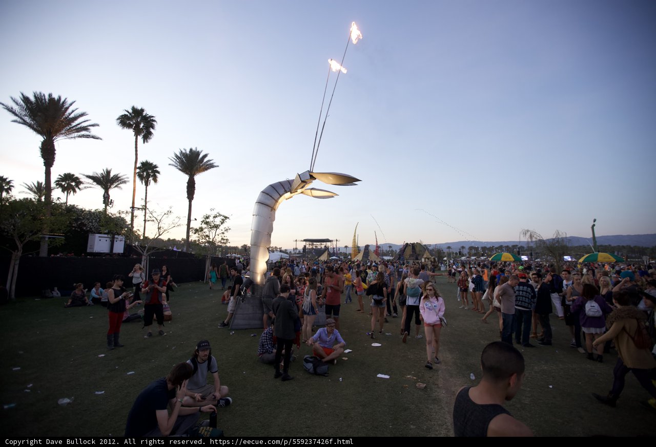 Palm Trees and People at Coachella Music Festival
