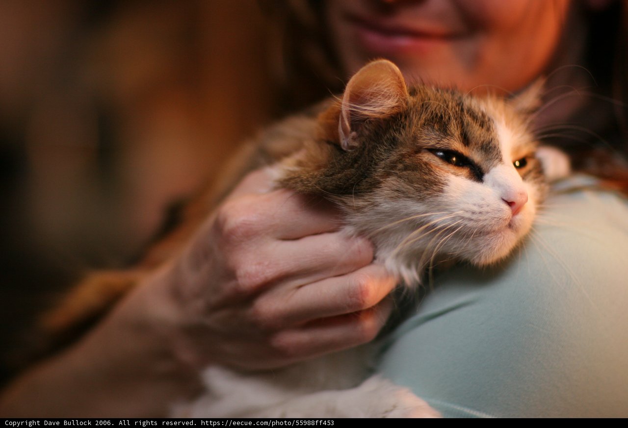 Woman and Her Furry Friend