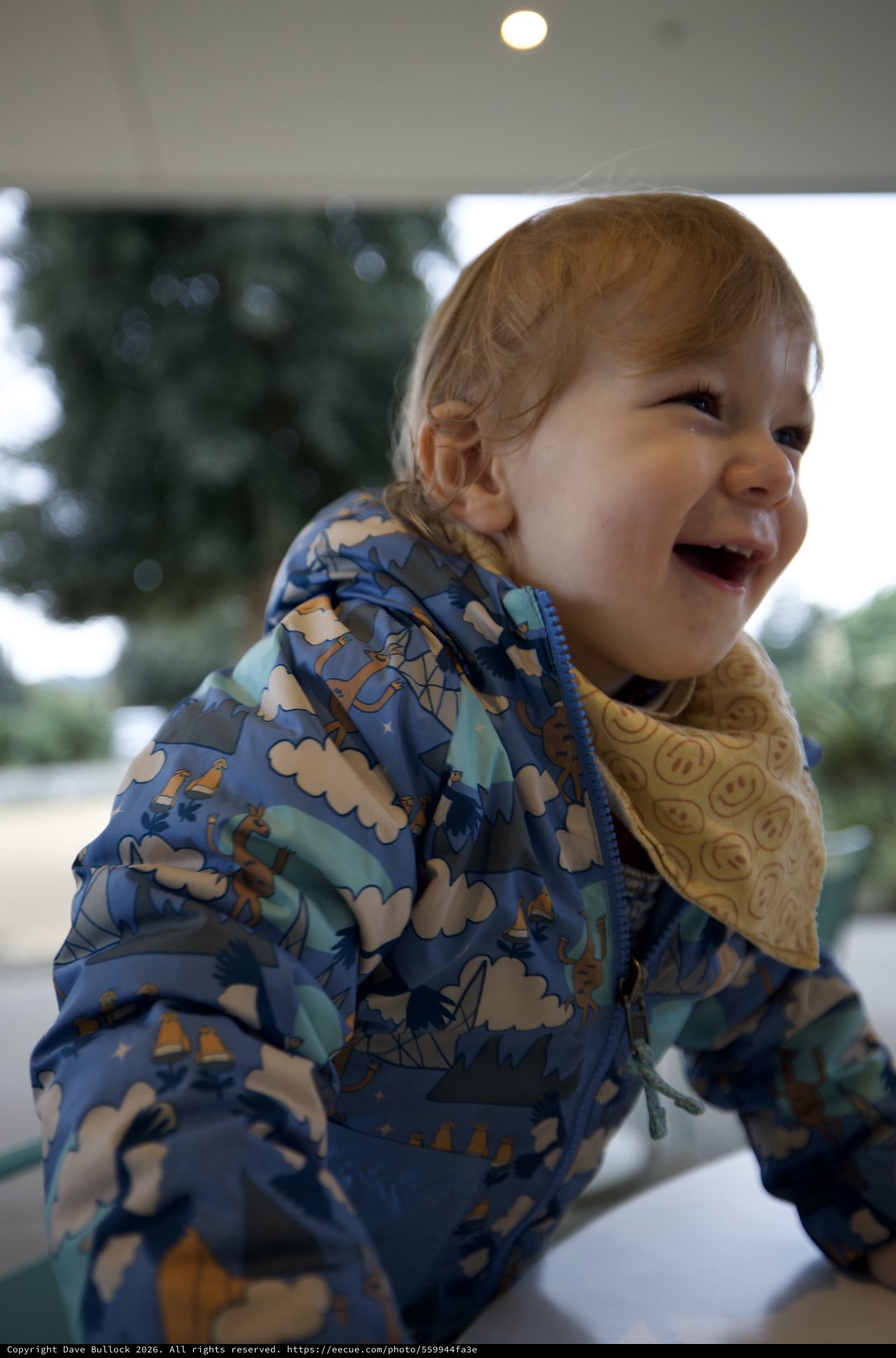 Joyful Toddler in Dinosaur Print Winter Jacket
