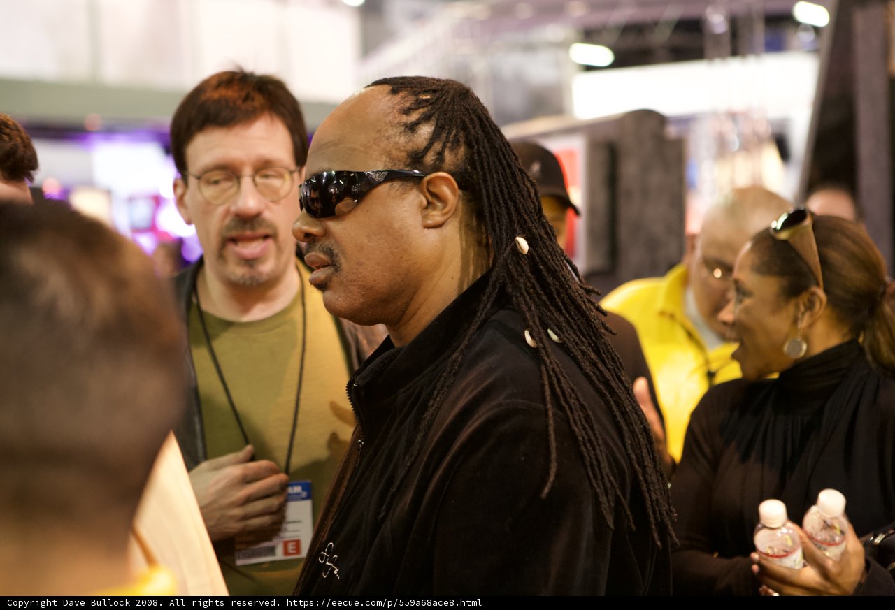 Stevie Wonder Rocking the Shades and Dreadlocks