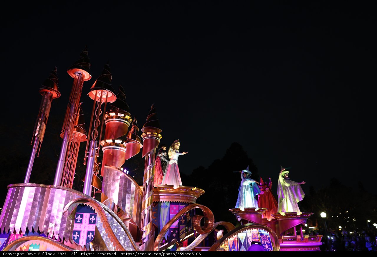Fun and Magic at the Amusement Park