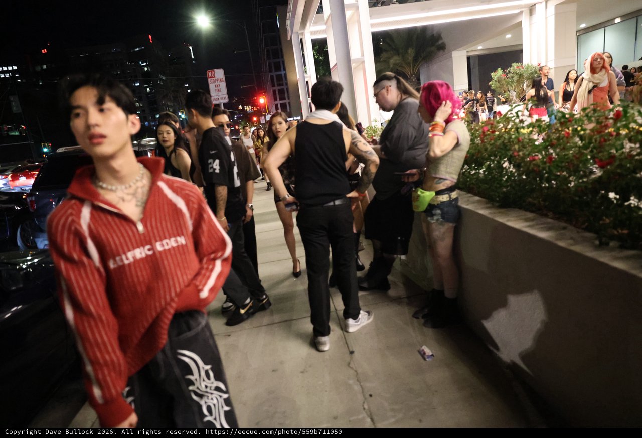 Late Night Street Scene Outside Wobbleland 2026