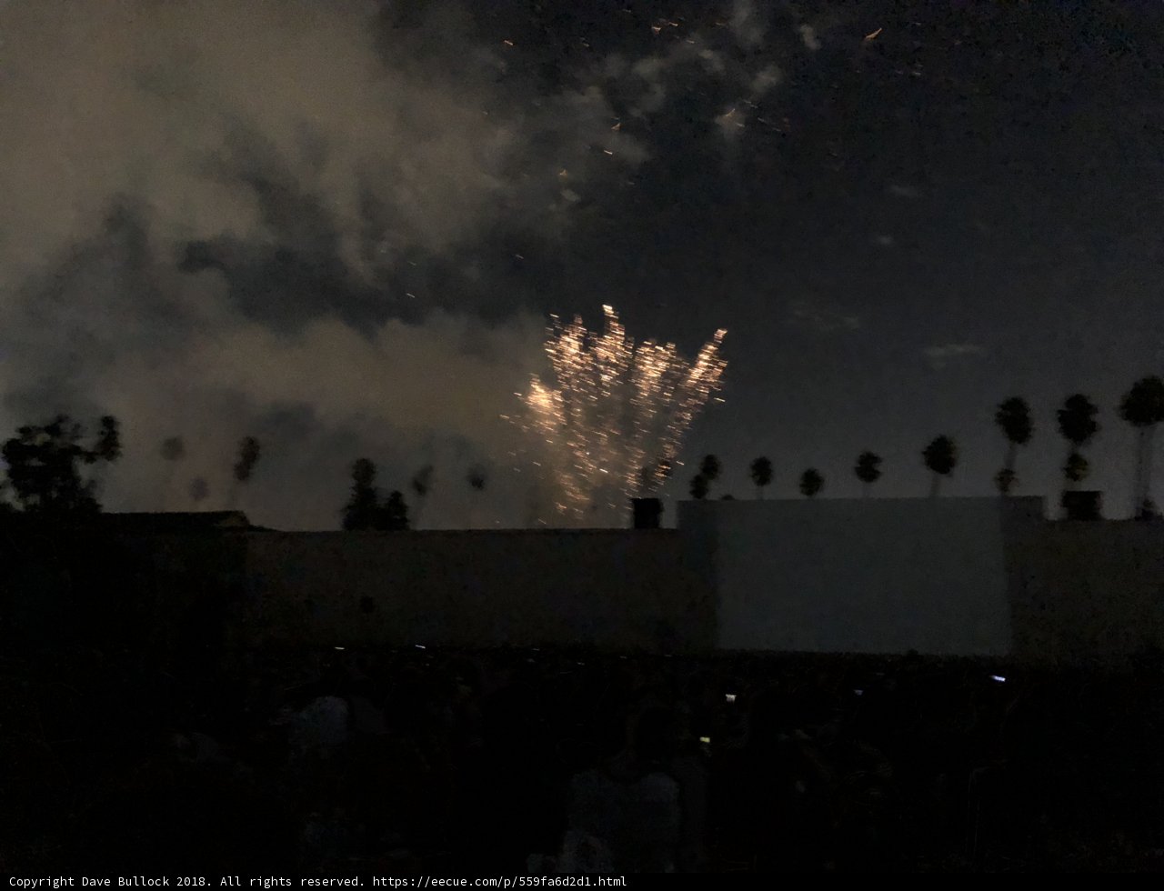 Fireworks Illuminate Night Sky Over Excited Crowd