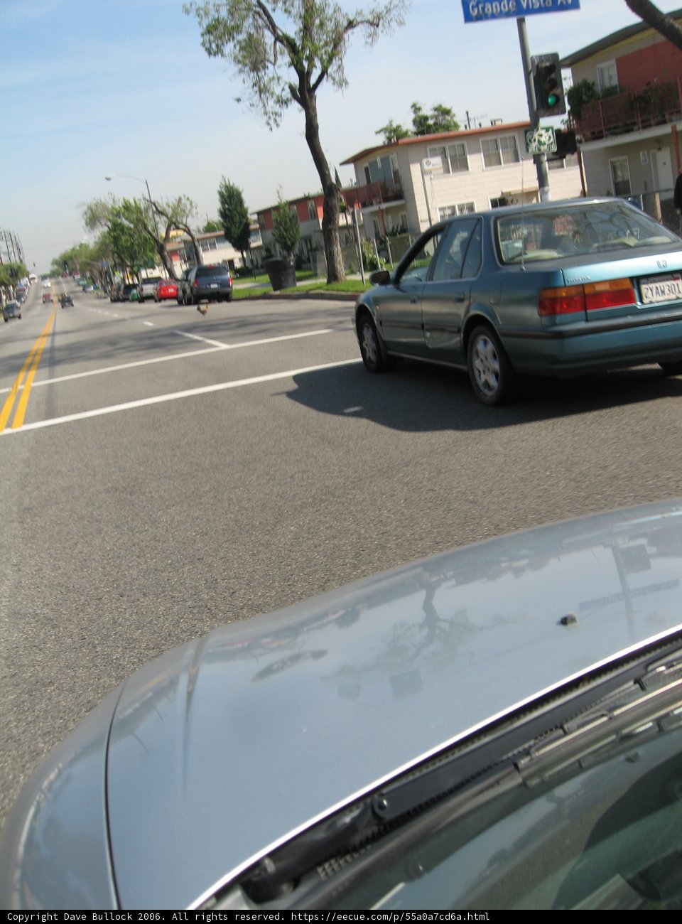Cruising Down the Road